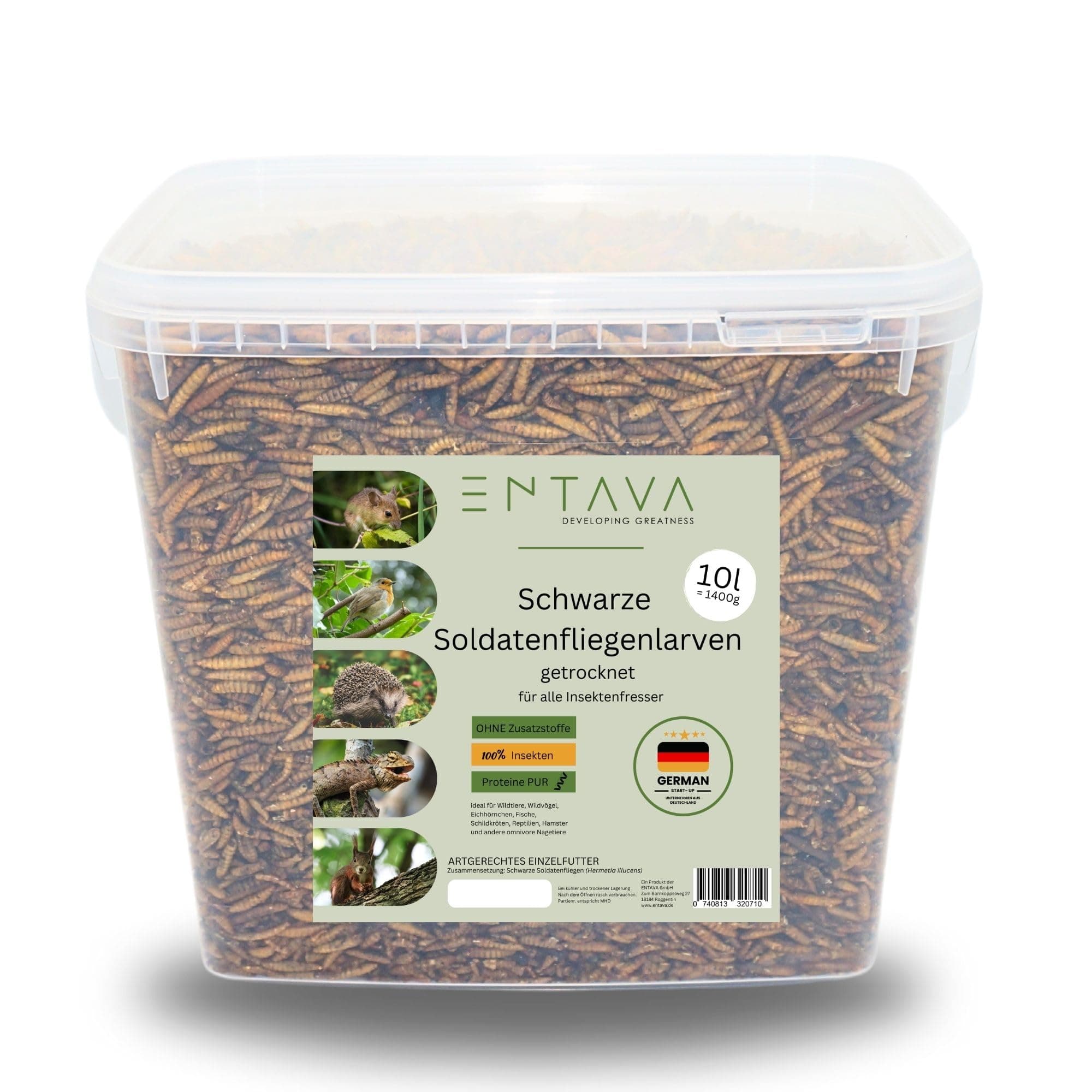 Premium-Qualität Soldatenfliegenlarven 🐛🌿🦜