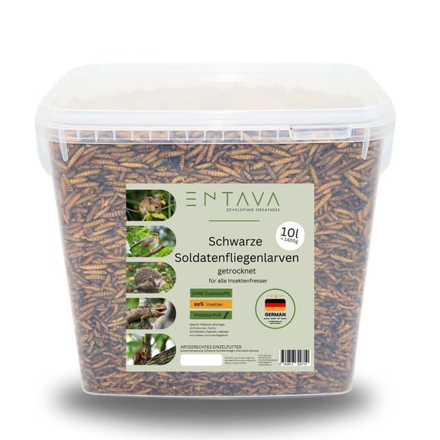 Premium-Qualität Soldatenfliegenlarven 🐛🌿🦜
