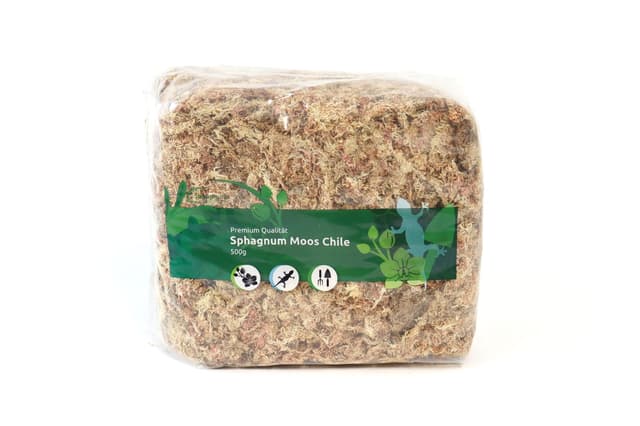 Chilenisches Sphagnum Moos für Orchideen & Terraristik 🌿🌺