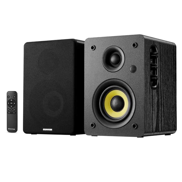 Sanyun SW206 80W Aktiver Dual-Modus Bücherregal Lautsprecher 🎵🔊
