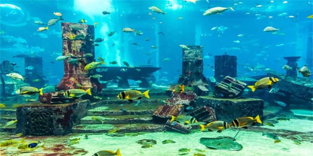 MIRRORANG 120x50cm Unterwasser Thema Aquarium Hintergrund 🐠🌊