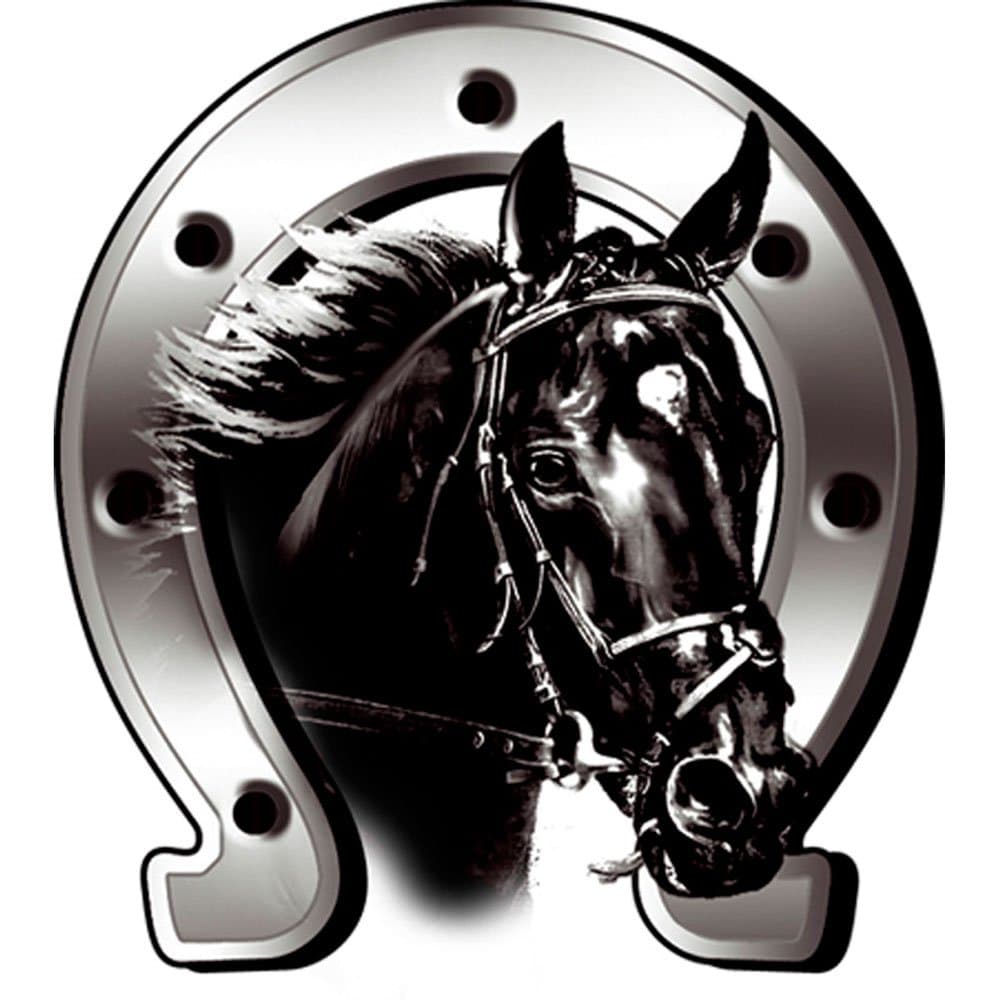 🐴🐎 Toller Deal: Avisa Aufkleber Horse + Horseshoe - 6x7cm!