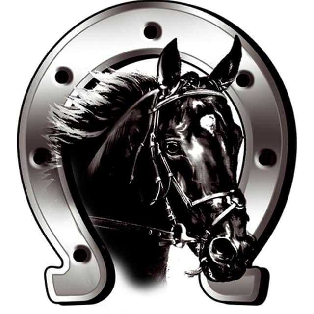🐴🐎 Toller Deal: Avisa Aufkleber Horse + Horseshoe - 6x7cm!