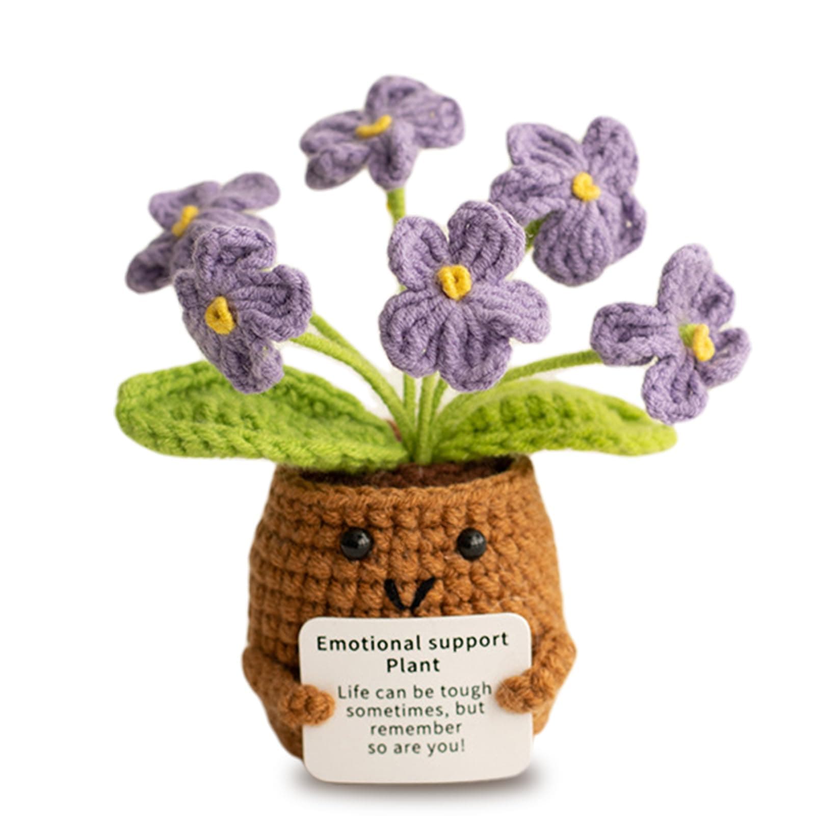 Aruigu Pocket Hug Vergissmeinnicht-Blumen Geschenke 🌼🎁