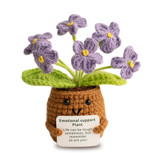 Aruigu Pocket Hug Vergissmeinnicht-Blumen Geschenke 🌼🎁