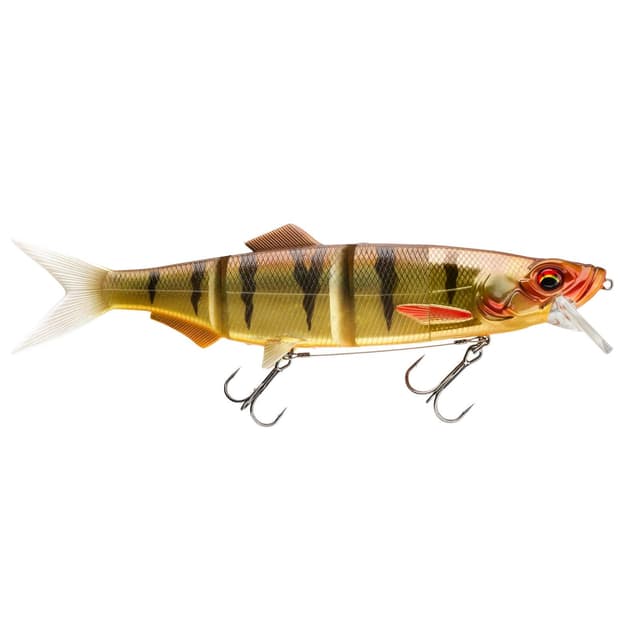 🎣 Prorex Hybrid SB250 Perch - Spezialangebot! 🎣