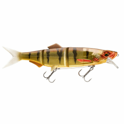 🎣 Prorex Hybrid SB250 Perch - Spezialangebot! 🎣 Angebot bei HelloDeals