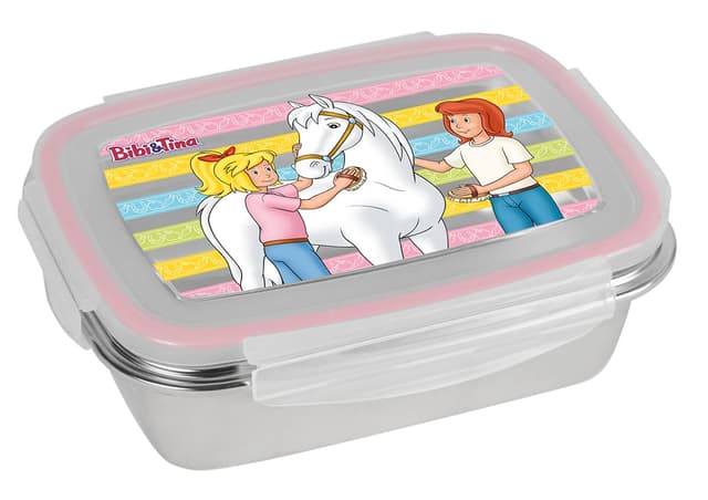 🎉 Super Deal: Bibi und Tina Brotdose Freunde 850ml Edelstahl, Bunt! 🎁