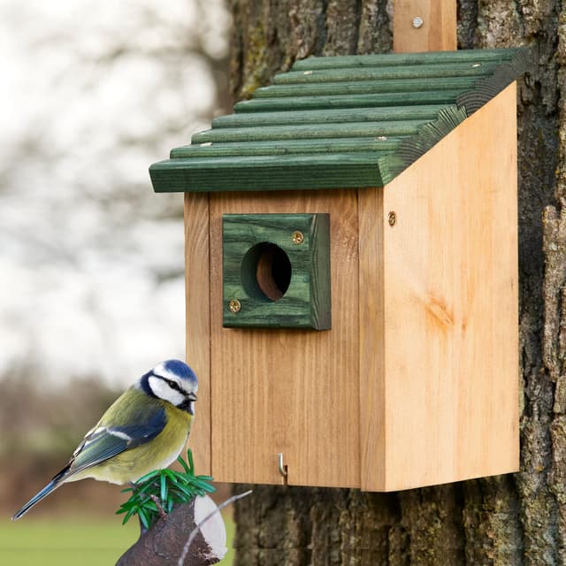 🐦🌳 Zooprinz Nistkasten für Wildvögel - Massiv-Holz Vogelhäuschen 🏡