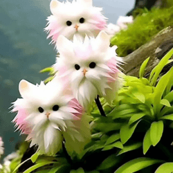 🌸🌿🌺 Worparsen 100 Stcs Katzenorchideensamen zum Pflanzen 🌺🌿🌸 Angebot bei HelloDeals