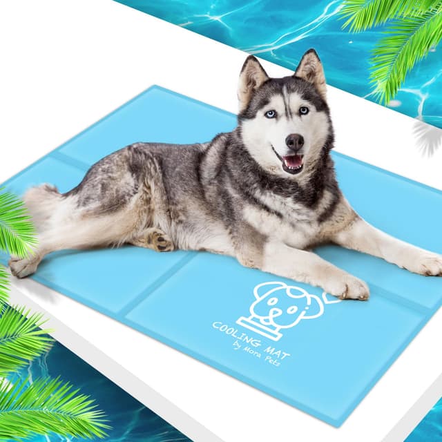 🐶🌞 Pawtasy Kühlmatte für Hunde XXL - 120 x 80 cm Blau 🌊🐾