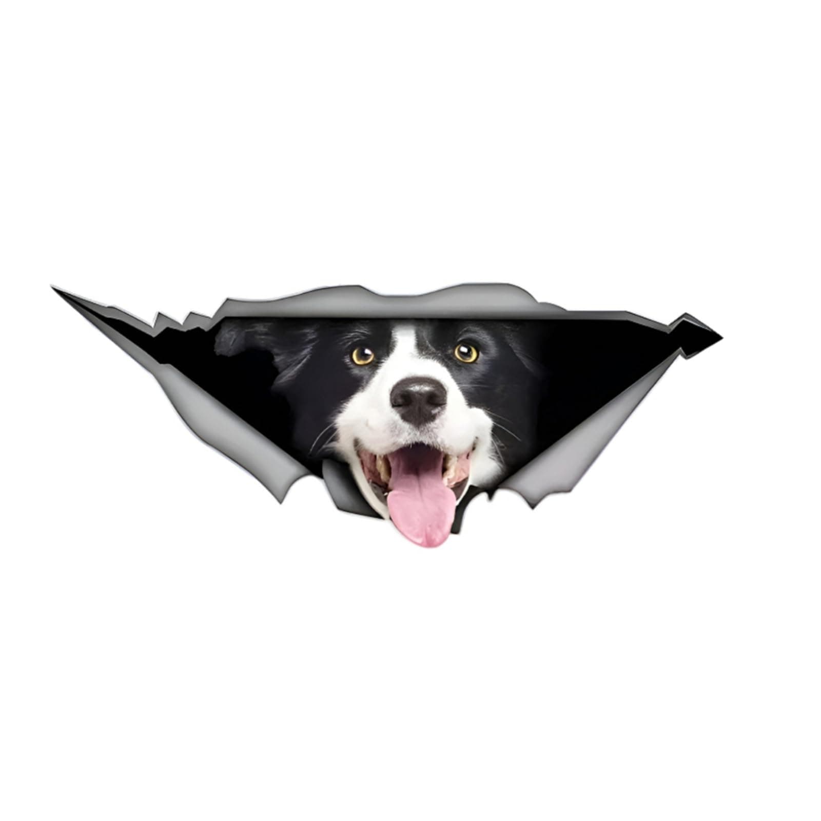 🚗🐶 Autoaufkleber 3D Border Collie Hund Wasserdichte Aufkleber