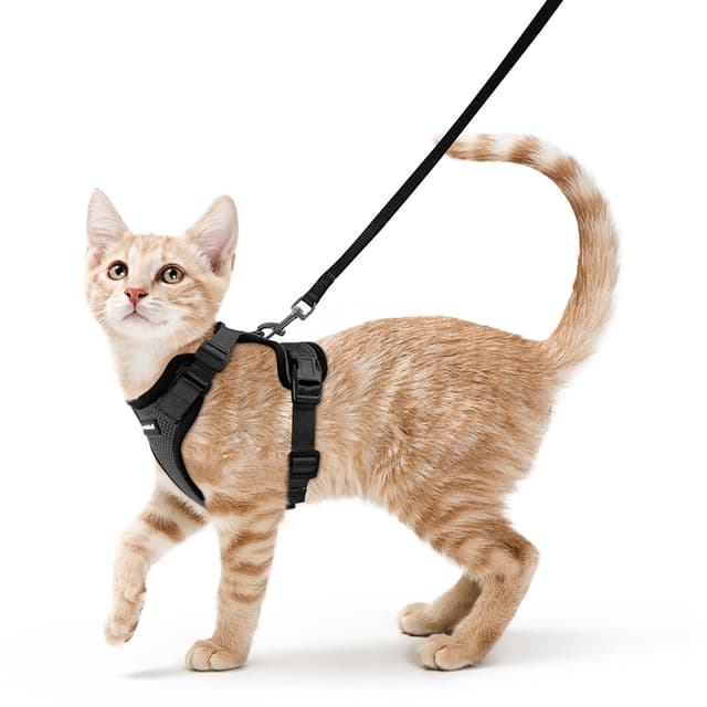 🐱‍👤 Rabbitgoo Katzengeschirr mit Leine Softgeschirr für Katze | Schwarz XS (1er Pack)