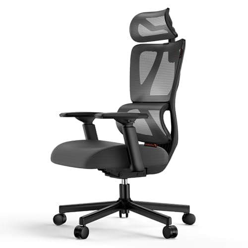 ProtoArc EC100 Bürostuhl Ergonomisch & Bequem 😍🪑