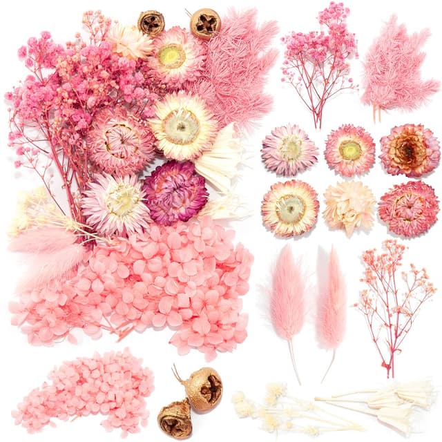 🌸 iDattel Natürliche Getrocknete Blumen Set für Kunst Basteln DIY Harz Scrapbooking Handwerk Karten Machen