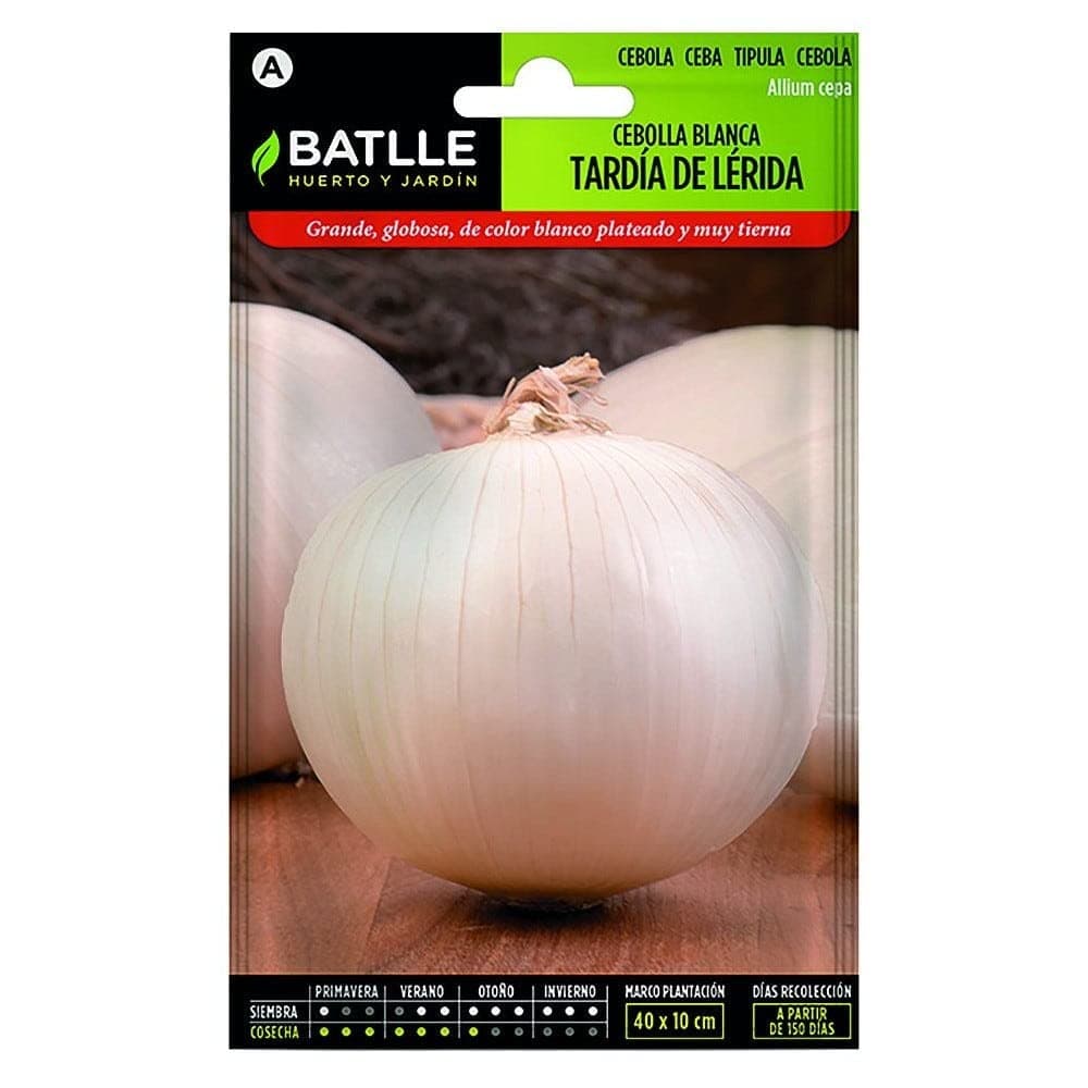 🌱 Super Deal: Batlle Gemüsesamen - Grosse Spätzwiebel aus Lérida (1200 Samen) 🌱