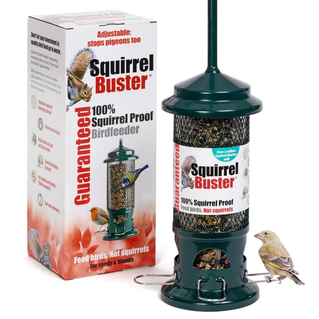 Die Squirrel Buster Vogelfutterstation 🐿️🕊️