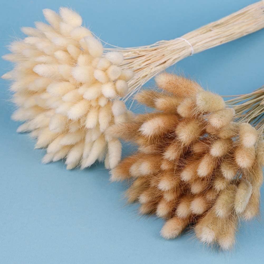 120 Stk. Trockenblumen Klein Pampasgras 🌾 - Perfekte Dekoration für Hochzeit und Zuhause