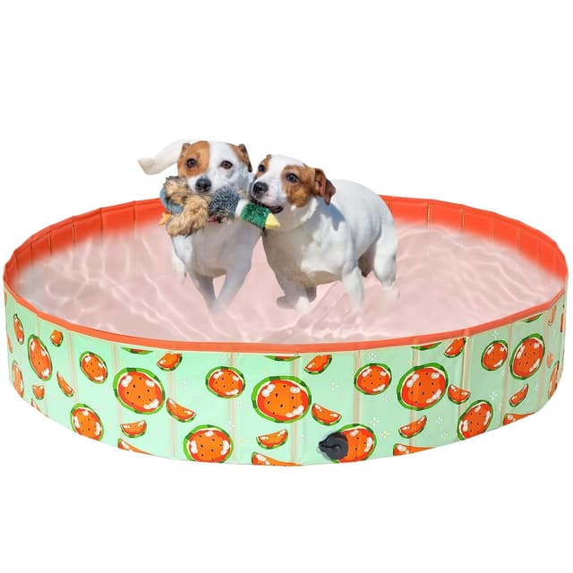 🐶 Demigreat Hundepool für Große und Kleine Hunde 🏊‍♂️🍉