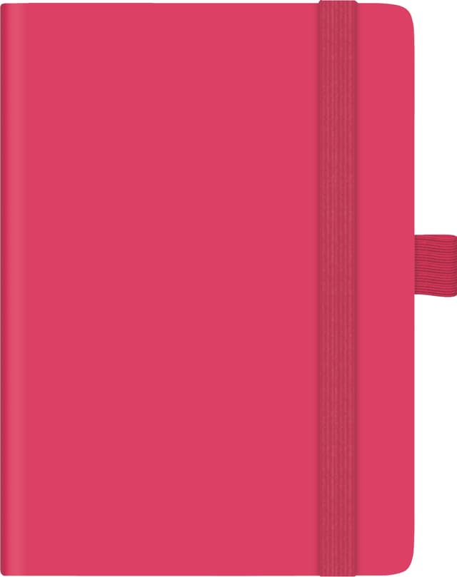📅 BRUNNEN Taschenkalender Kompagnon Mod. 732 66 2025 | A6, Kunststoff, pink