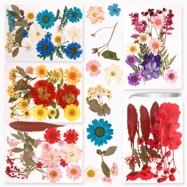 Fyshird 5 Packungen Natürliche Getrocknete Blüten 🌸🌿 Trockenblumen zum Basteln