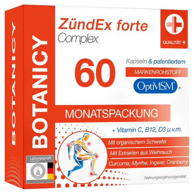 ZÜNDEX FORTE COMPLEX - 60 MSM Kapseln Hochdosiert 🌿🌿🌿