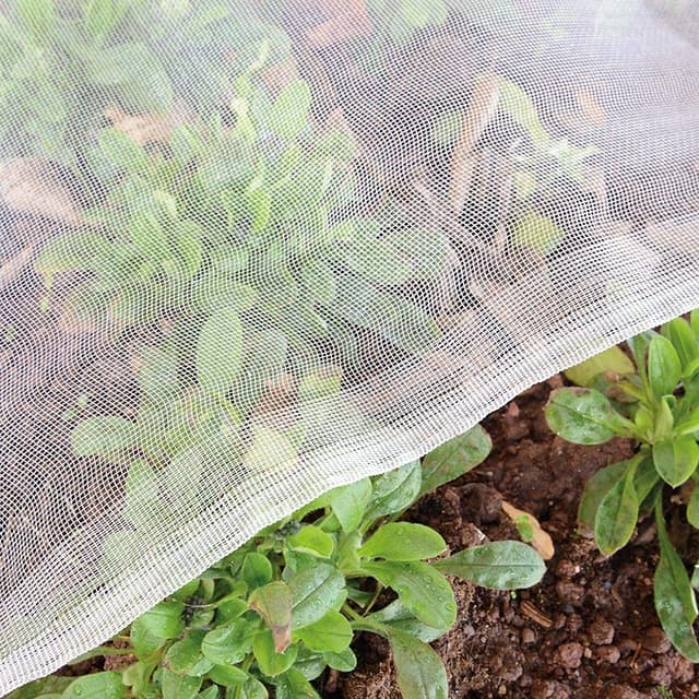 Gemüse Schutznetz Garten Insekten Netz: 1.5x5m Kulturschutznetz Feinmaschig