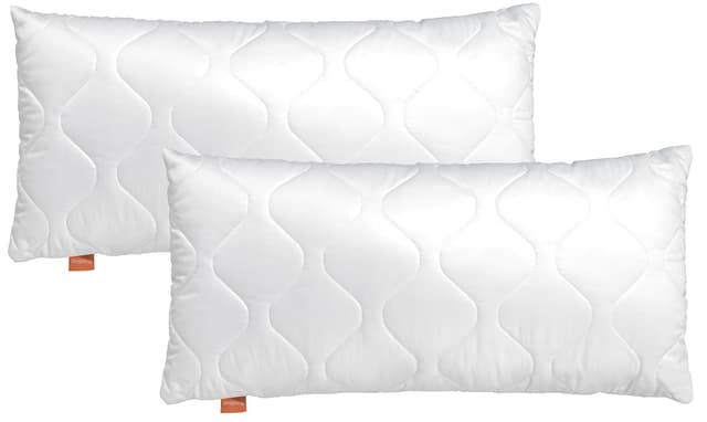 🌟 Angebot: Sleepling 2er Set Basic 100 Kopfkissen 🌟