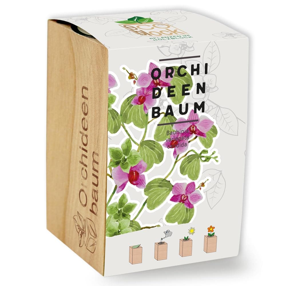 🌿🌺 Feel Green Ecoblock Orchideenbaum - Nachhaltige Geschenkidee (100% Eco Friendly)