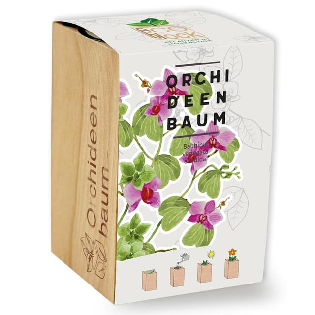🌿🌺 Feel Green Ecoblock Orchideenbaum - Nachhaltige Geschenkidee (100% Eco Friendly)