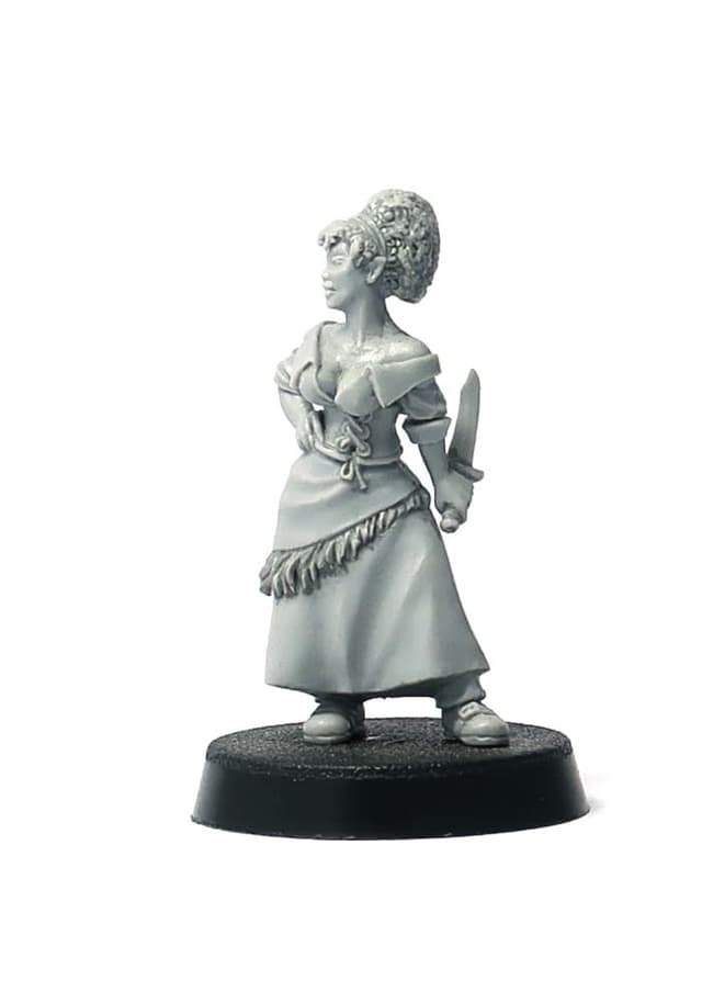 🎲 Brother Vinni Fantasy Female Character, 28mm Resin Miniature - Sonderangebot!