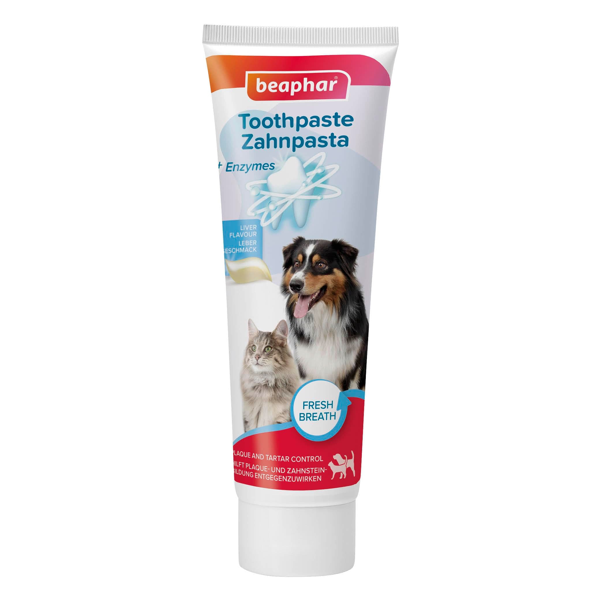 🐾 Beaphar Zahnpasta für Hunde und Katzen 🦷😺
