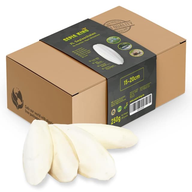 Sepia King Sepiaschalen XL Box 250g 15-20cm 🐢🦎🐦
