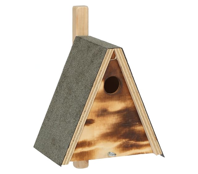 🐦 Dehner Natura Premium Wildvogel Nistkasten Falco 🏡