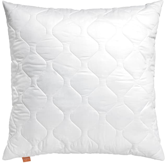 🌟 Angebot: Sleepling Basic 100 Kopfkissen, 60 x 70 cm, Ökotex, Made in EU 🛌