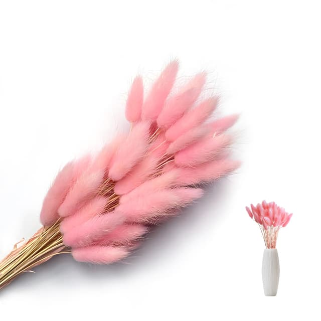 🌾 SoeUyd 50 Stück Pampasgras Deko 🌸 Langanhaltende Konservierung 🌿