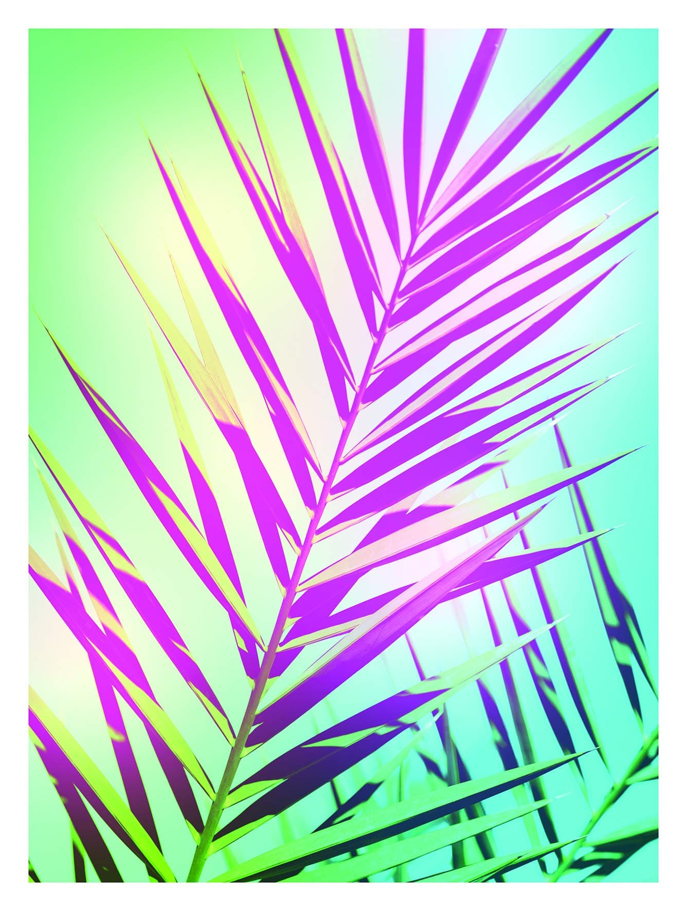 Komar Wandbild | Shine ✨ | Poster, Bild, Wohnzimmer, Schlafzimmer, Dekoration, Kunstdruck