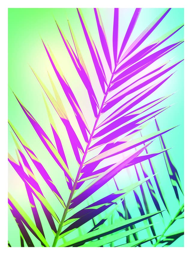 Komar Wandbild | Shine ✨ | Poster, Bild, Wohnzimmer, Schlafzimmer, Dekoration, Kunstdruck