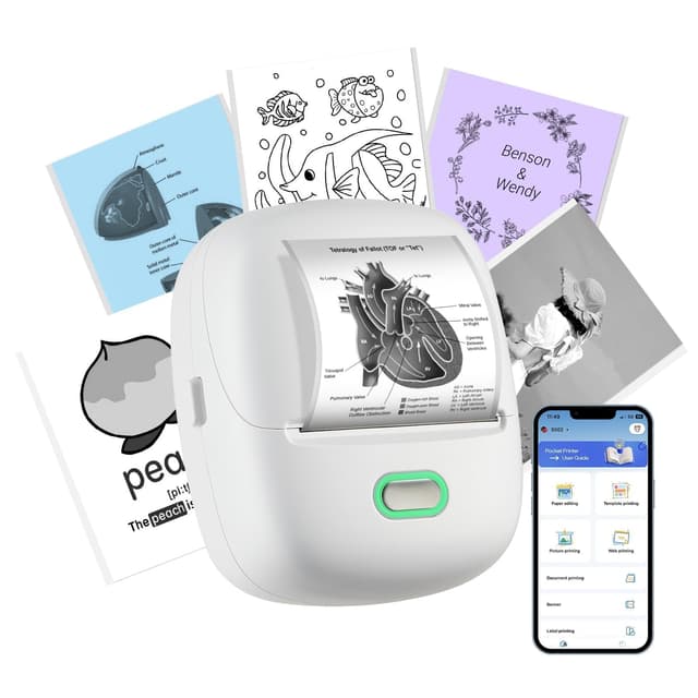 ORGSTA S002 Etikettendrucker Selbstklebend 🏷️ Bluetooth 300 DPI Etikettiermaschine 🖨️ Label Printer