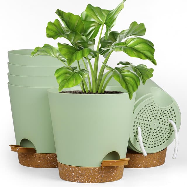 🌿🏡 Spezialangebot: Selbstbewässernde Blumentöpfe Set! 🌿🏡