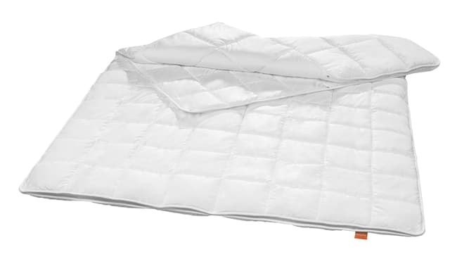 Sleepling 197036 Antibakterielle Anti Milben Bettdecke (Sanitized®) | 4-Jahreszeiten Decke Steppbett