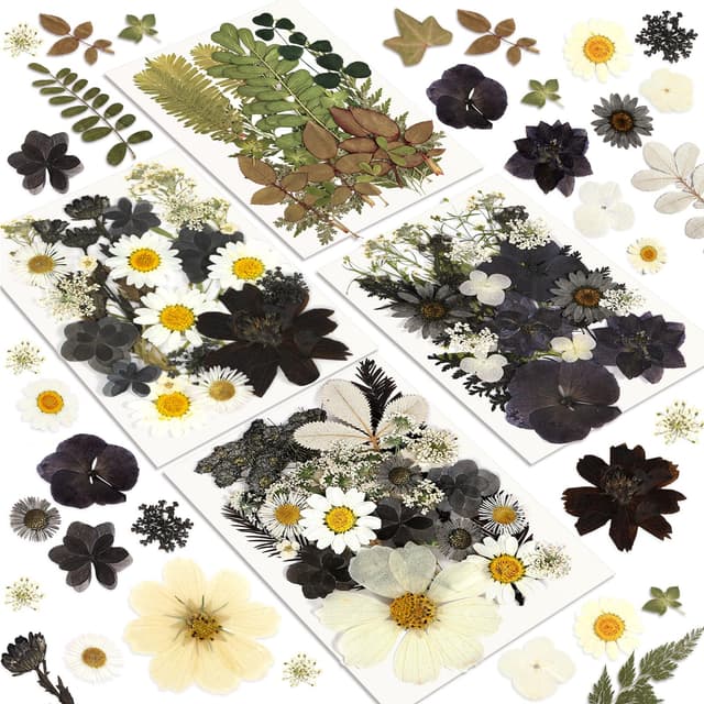 Resiners 100 Stück Schwarz Getrocknete Blumen 🌸🌿 Natürliche Gepresste Getrocknete Blumen Blätter für Harz Schmuck Machen
