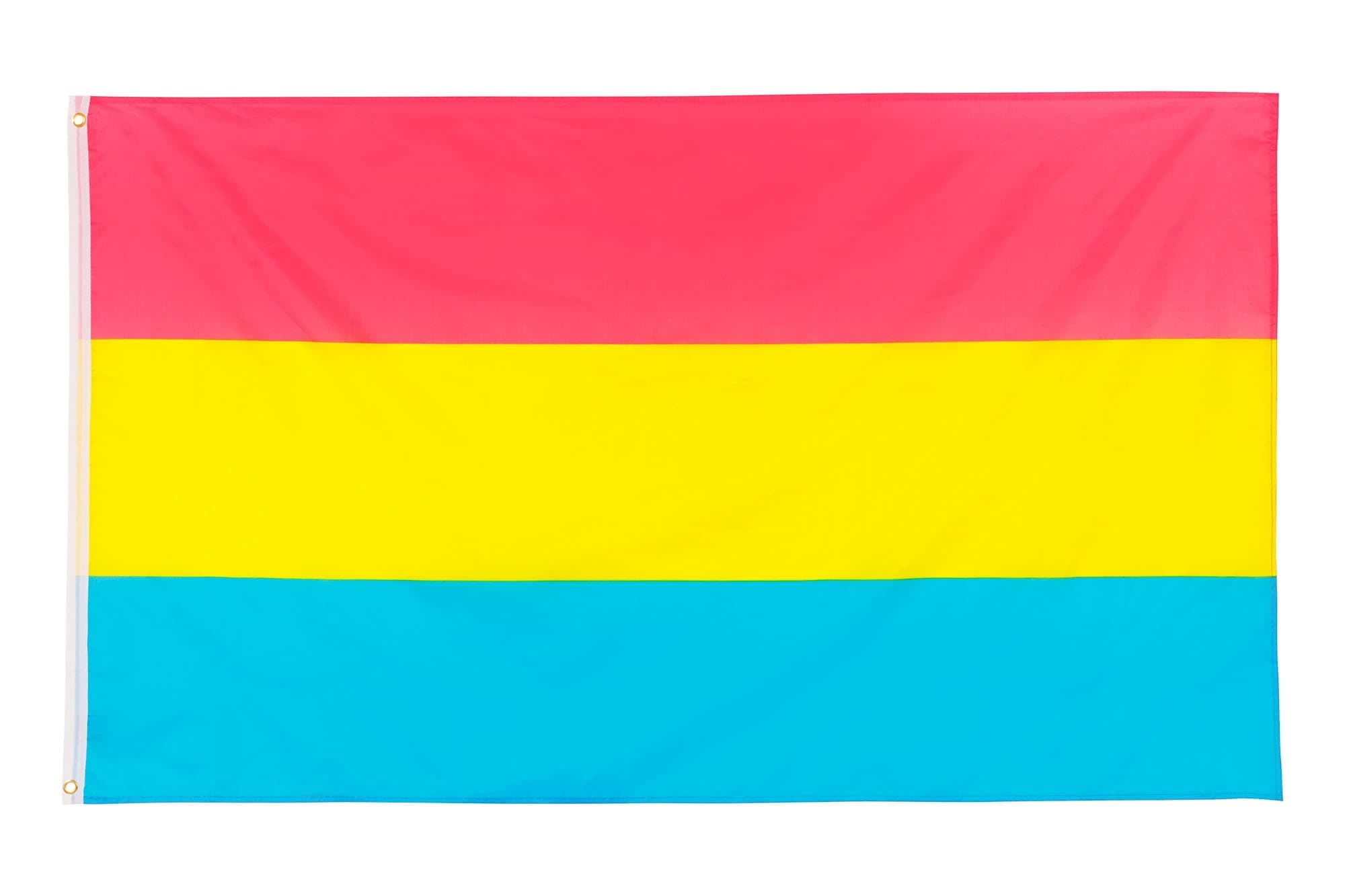 Pan Flagge 90x150cm - Pride Fahne mit Messingösen 🏳️‍🌈