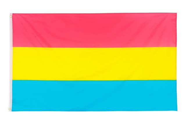 Pan Flagge 90x150cm - Pride Fahne mit Messingösen 🏳️‍🌈