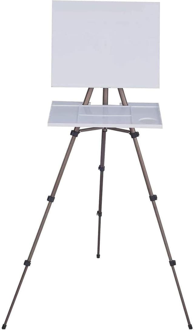 MEEDEN Field Staffelei Aluminium: Tragbare Plein Air Easel mit Tasche 🎨