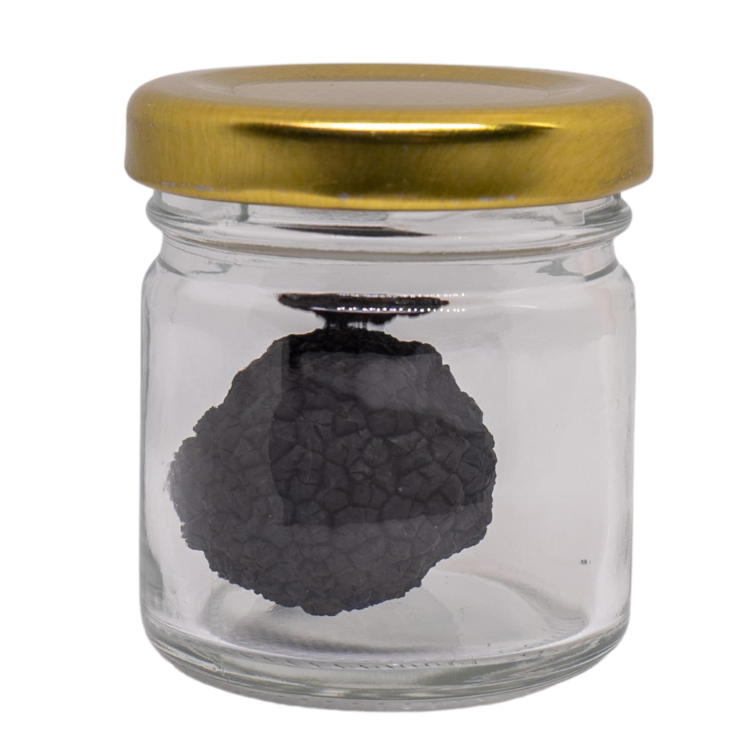 🍄🍽️ SPARTACUS GANZE SCHWARZE TRÜFFEL, NATÜRLICHES AROMA, OHNE ZUSÄTZE ODER KONSERVIERUNGSSTOFFE (Ganzer schwarzer Trüffel 10g) - Gourmet-Genuss! 🌟