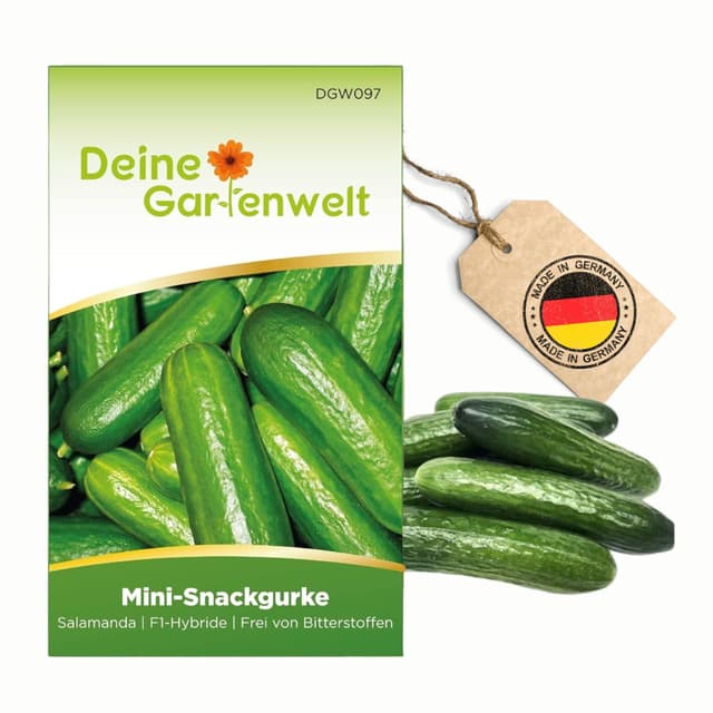 Mini Snackgurke Salamanda F1 Samen - Cucumis sativus - Gurkensamen