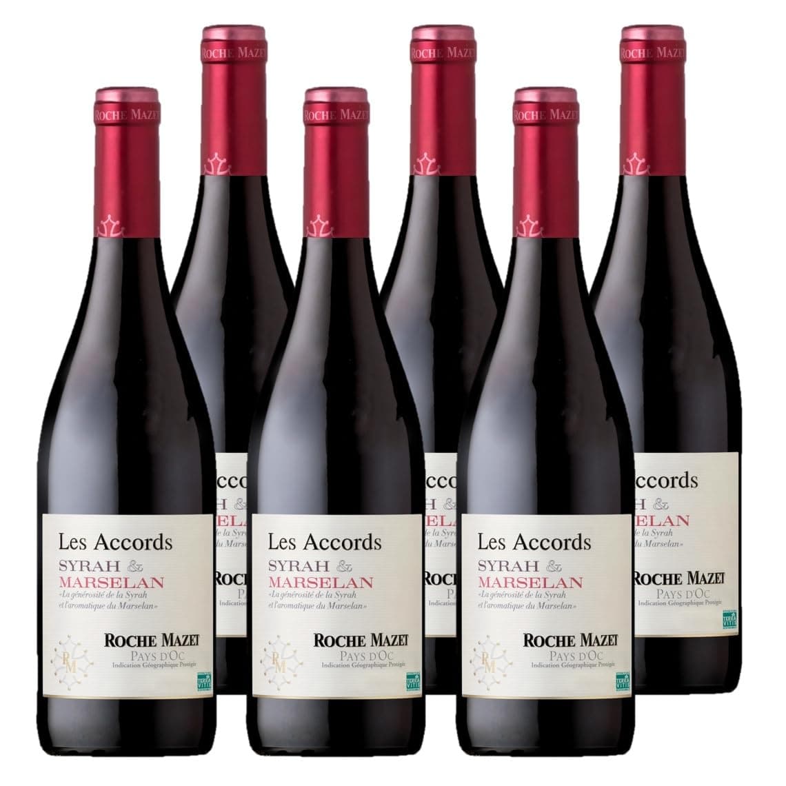 Les Accords de Roche Mazet - Rotwein Trocken - Syrah Marselan - IGP Pays d'Oc - Terra Vitis (6 x 0,75 l) 🍷🍇