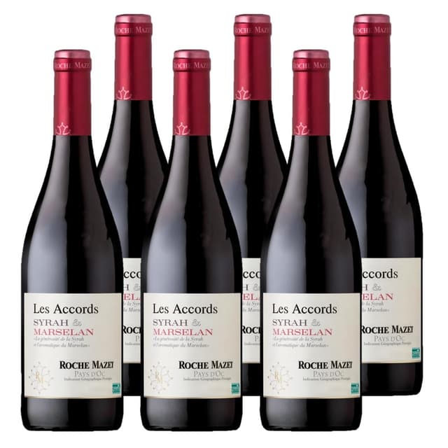Les Accords de Roche Mazet - Rotwein Trocken - Syrah Marselan - IGP Pays d'Oc - Terra Vitis (6 x 0,75 l) 🍷🍇