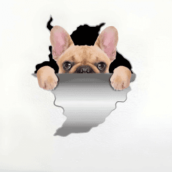 Französische Bulldogge Autoaufkleber 3D Zerrissen Reflektierende Autaufkleber